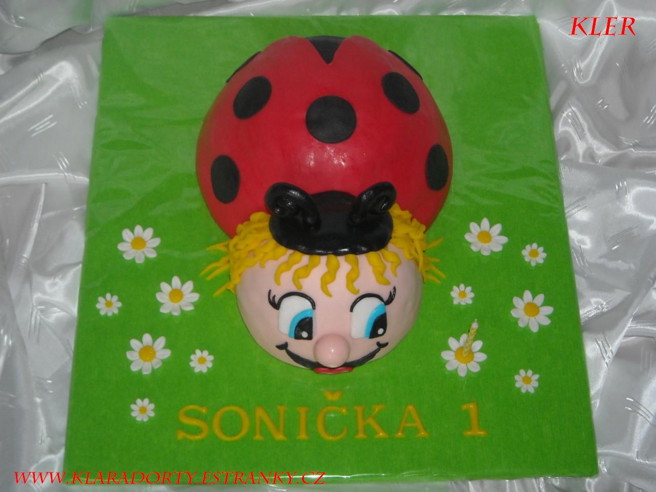 DORTY 992 [Rozlišení obrazovky].jpg